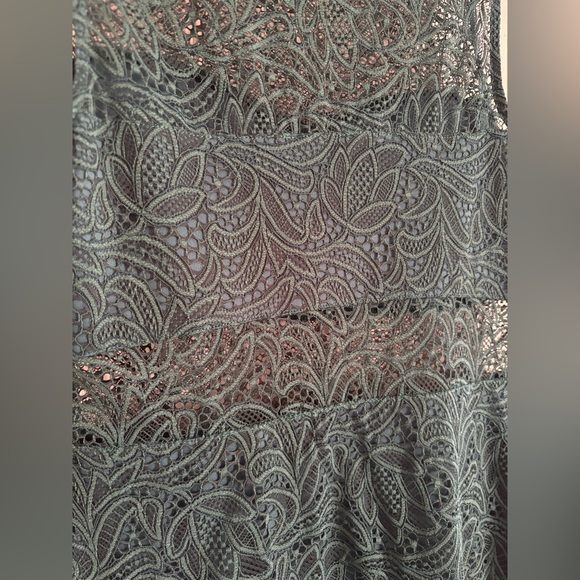 Express Sheer Lace Dress - Picture 5 of 5